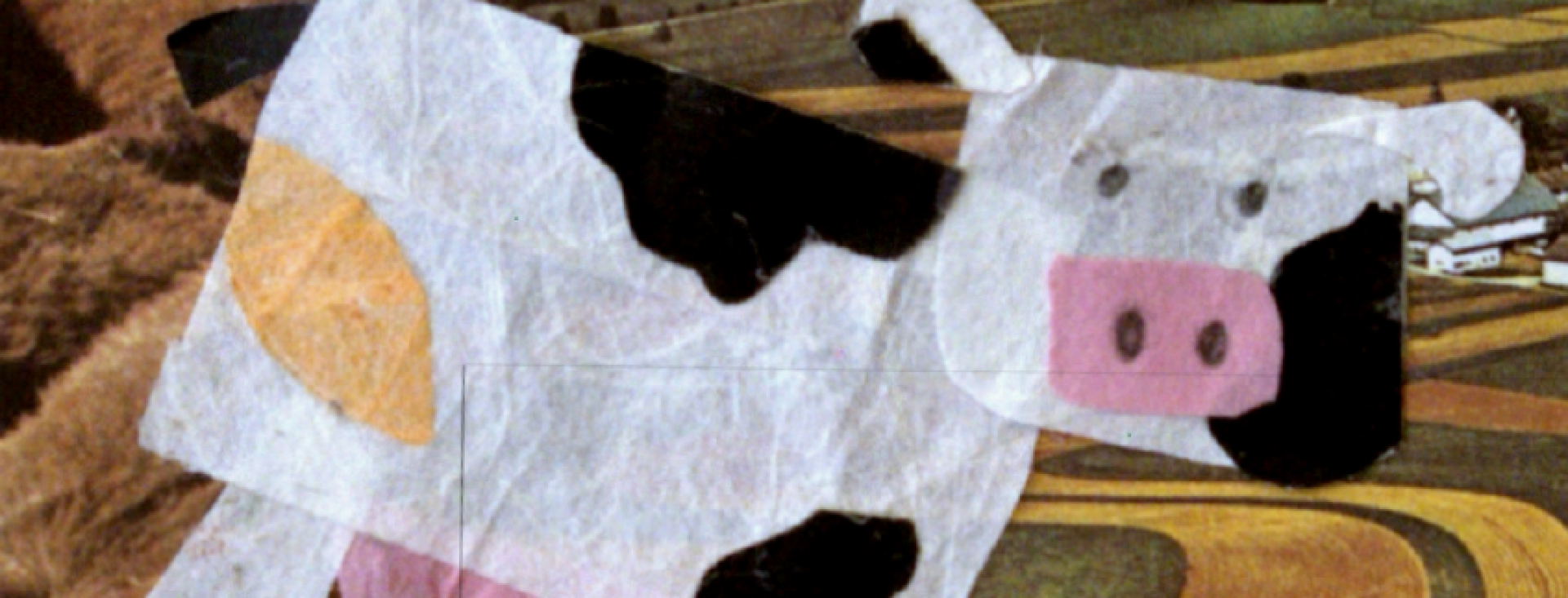 Cornelia, corazón de atún - Header 1