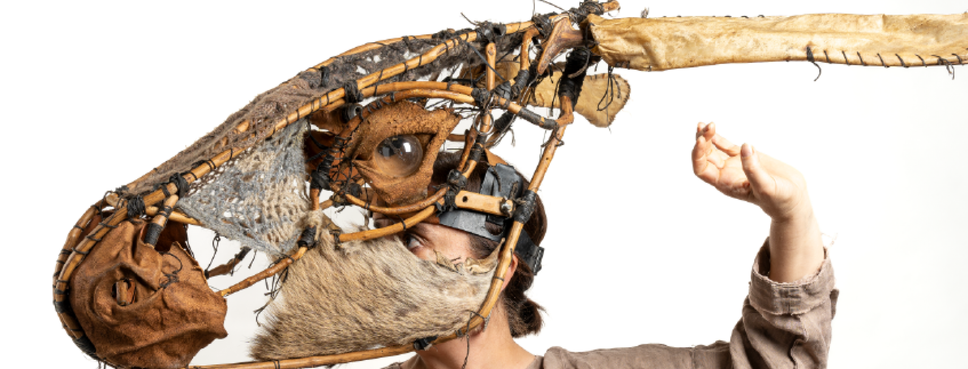 ¡Burros!  - Header 0