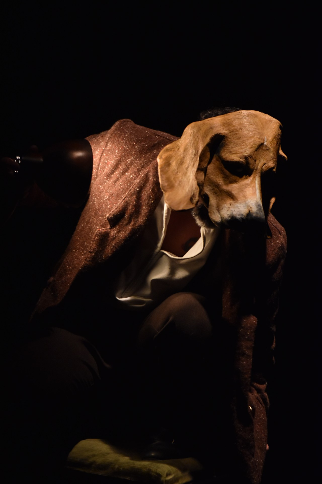 Un perro llamado Modigliani